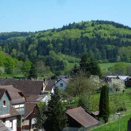 Апартаменты Schwarzwald Domizil Uhlsberg Киппенхайм Номер фото