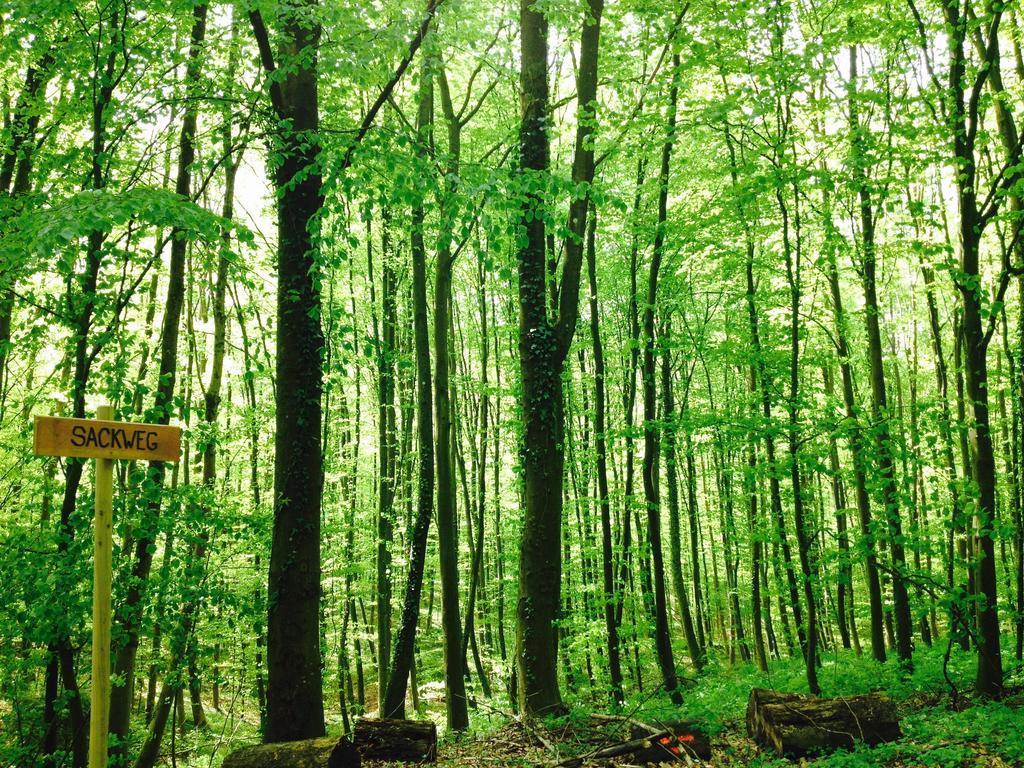 Апартаменты Schwarzwald Domizil Uhlsberg Киппенхайм Экстерьер фото