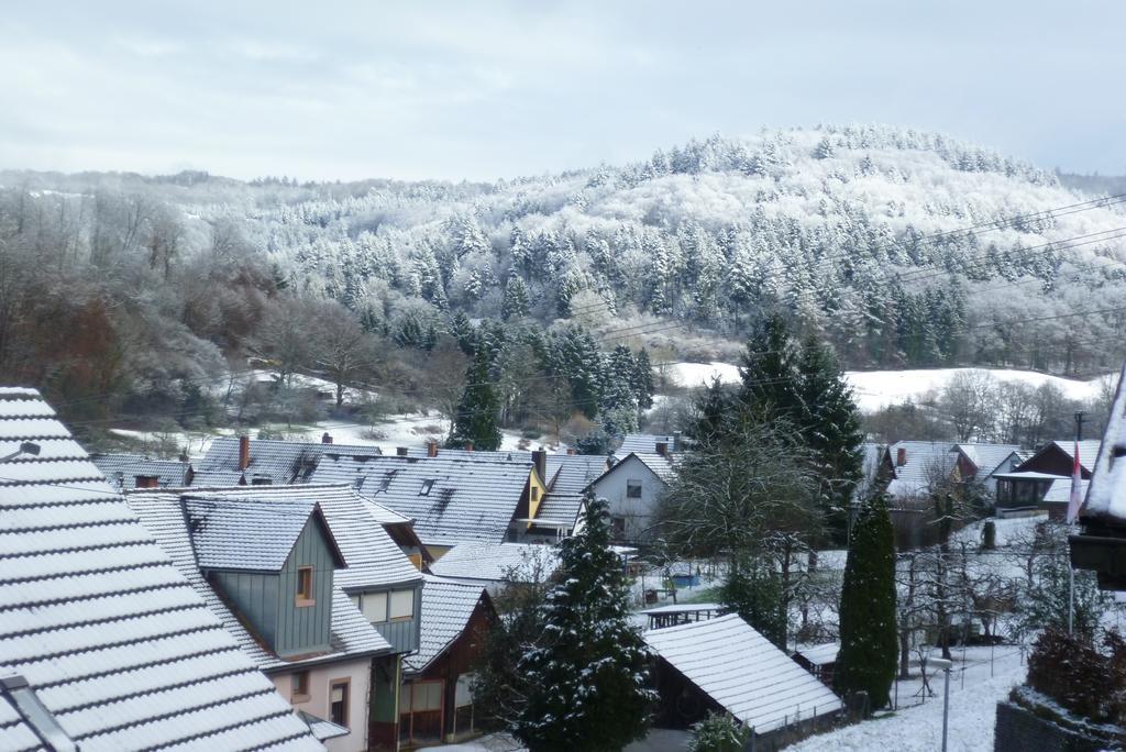 Апартаменты Schwarzwald Domizil Uhlsberg Киппенхайм Номер фото