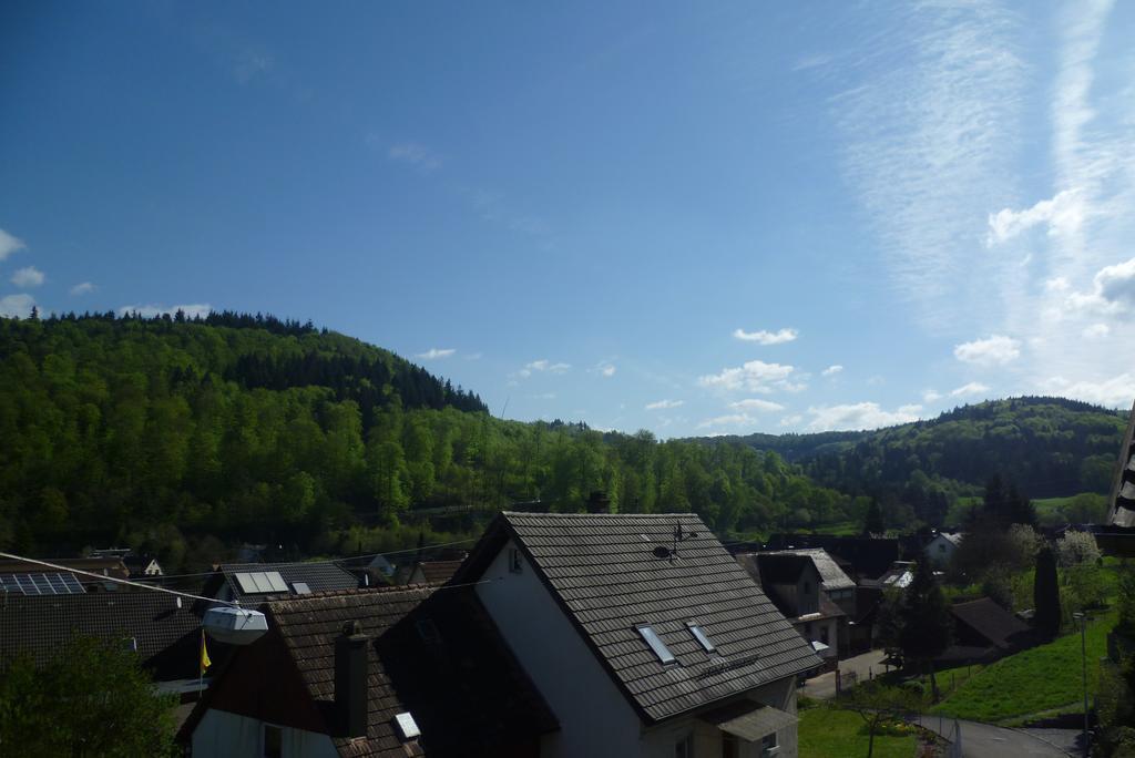 Апартаменты Schwarzwald Domizil Uhlsberg Киппенхайм Номер фото