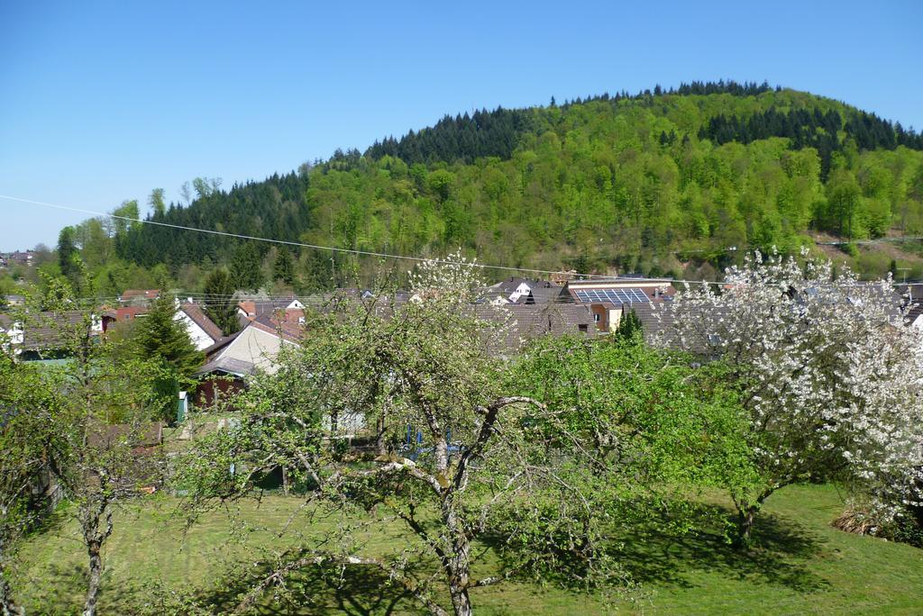 Апартаменты Schwarzwald Domizil Uhlsberg Киппенхайм Номер фото