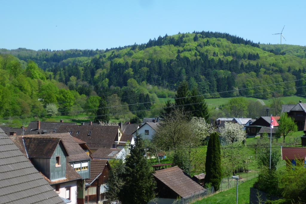 Апартаменты Schwarzwald Domizil Uhlsberg Киппенхайм Номер фото