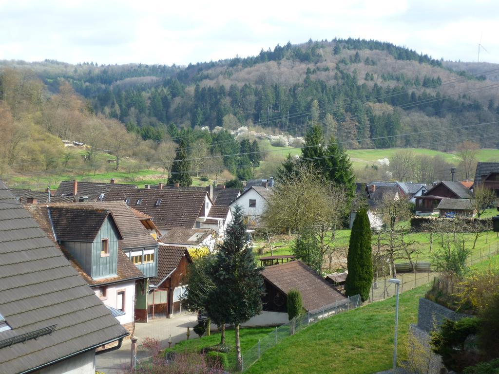 Апартаменты Schwarzwald Domizil Uhlsberg Киппенхайм Номер фото
