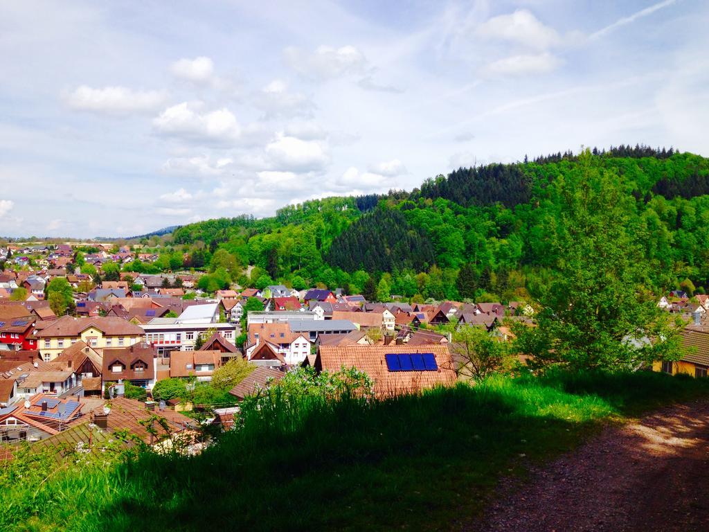 Апартаменты Schwarzwald Domizil Uhlsberg Киппенхайм Экстерьер фото