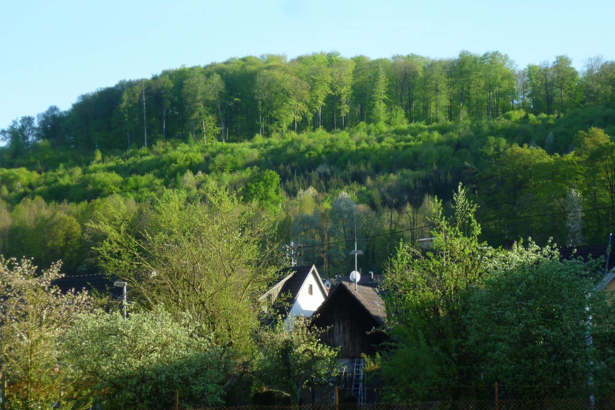 Апартаменты Schwarzwald Domizil Uhlsberg Киппенхайм Экстерьер фото